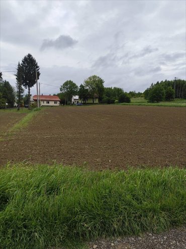 działka na sprzedaż 2914m2 działka Jedlicze