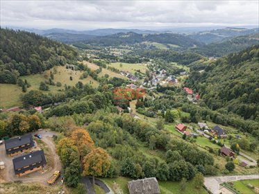 Działka 10 073 m² w Przygórzu - zapraszam działka Przygórze