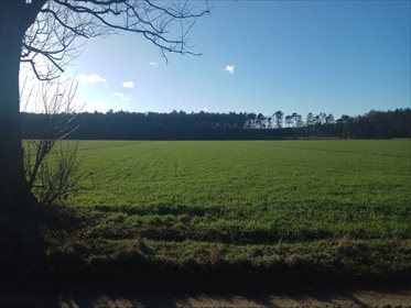 Działka rolna na sprzedaż Błażejewo 16 300m2 Foto 4