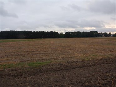 Na sprzedaż działka 3674 m² z warunkami zabudowy i mediami działka Przywory
