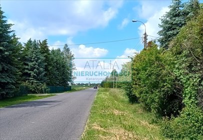 Polecam urokliwą działkę 3800 m² z warunkami zabudowy działka Milęcin