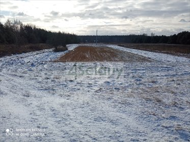 Malownicza działka 12 600 m² pod lasem i Wisłą - polecam działka Nowiny