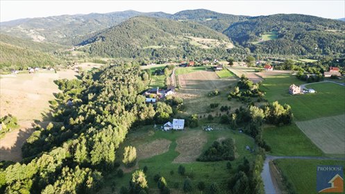 Dom na sprzedaż w Młynnem (4,01 ha, 220 m²) z lasem i porzeczkami dom Młynne