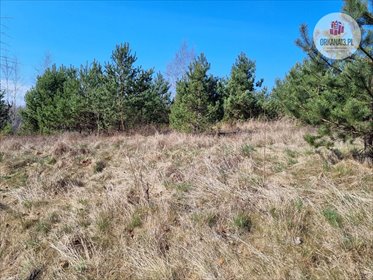 Działka rolna na sprzedaż Biesówko, Biesówko 4 093m2 Foto 4