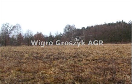 Działka 4000 m2 z planem zabudowy i dostępem do mediów działka Stanisławów