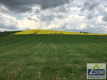 Działka rolna 10 084 m² z możliwością podziału i stawem działka Moszna, Kol.Moszna