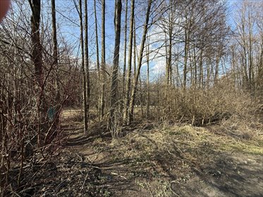 działka na sprzedaż 889m2 działka Zofiówka, Przylesie