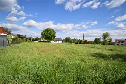 działka na sprzedaż 1380m2 działka Czarków, Wiejska