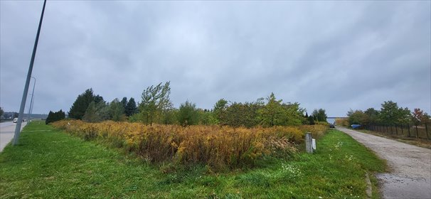 Na sprzedaż atrakcyjna działka 2600 m² w Rosanowie działka Rosanów, Łanowa