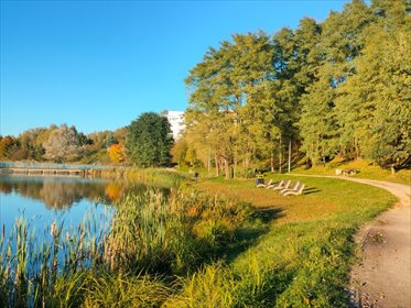 mieszkanie na sprzedaż 44m2 mieszkanie Kielce, Szydłówek, Klonowa