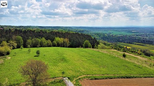 Działka budowlana na sprzedaż Karniowice 14 000m2 Foto 6