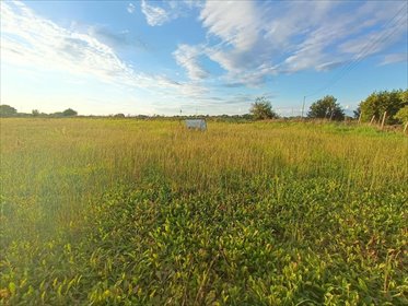 działka na sprzedaż 3021m2 działka Smolęcin
