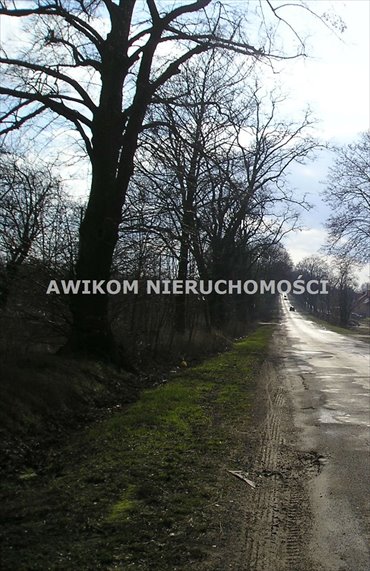 działka na sprzedaż 16511m2 działka Skierniewice, Dębowa Góra