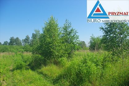 Działka budowlana na sprzedaż Mokiny 1 545m2 Foto 4