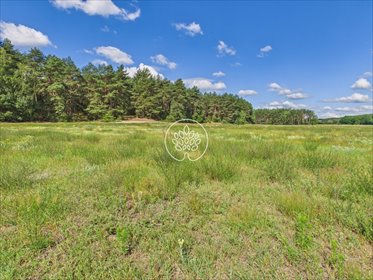 Do sprzedania działka 789 m² z warunkami zabudowy działka Sąsieczno