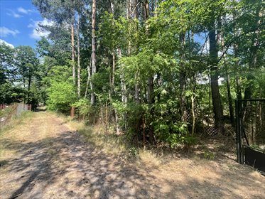 Działka budowlana 841 m² w Kęblinach (las, dojazd utwardzony) działka Kębliny