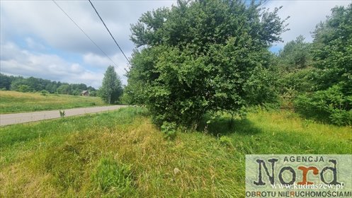 działka na sprzedaż 8800m2 działka Rygol