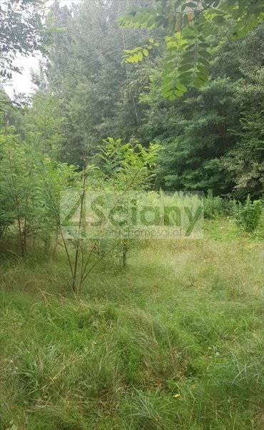 Na sprzedaż działka 3053 m² pod zabudowę Sulejówek działka Sulejówek