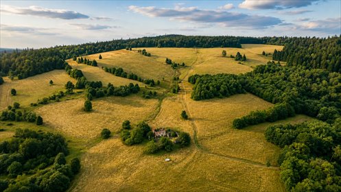 12,46 ha w górach. Twoja własna samotnia! działka Gniewoszów