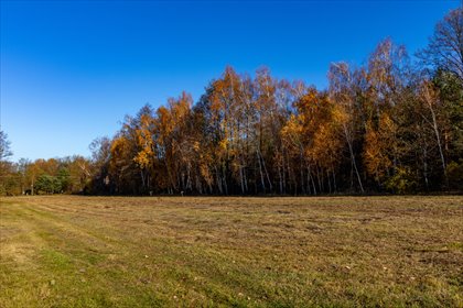 działka na sprzedaż 5150m2 działka Stare Krasnodęby