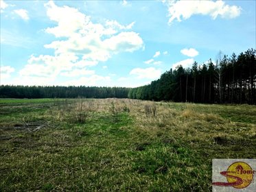 Działka rolna z możliwością zabudowy, 5900 m², spokojna okolica działka Nowy Jasieniec Iłżecki