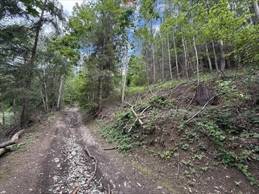 działka na sprzedaż 12055m2 działka Krościenko Nad Dunajcem, Jarek