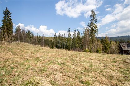 działka na sprzedaż 4046m2 działka Nowy Targ, Marfiana Góra, os. Marfiana Góra