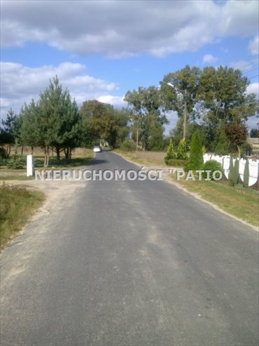 Działka budowlana na sprzedaż Czarne Piątkowo 19 500m2 Foto 5