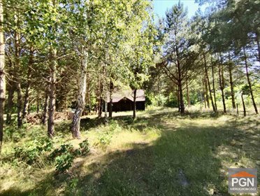 Drewniany domek na zalesionej działce 1941 m² - polecam! dom POBIEROWO OKOLICA