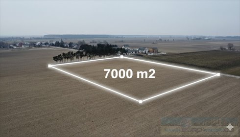 działka na sprzedaż 7000m2 działka Markowice