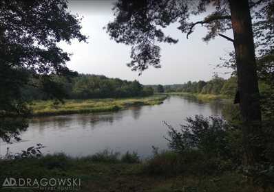 Lokal użytkowy na sprzedaż Biała 500m2 Foto 4