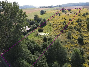 działka na sprzedaż 5500m2 działka Przybysławice