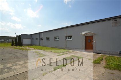 magazyn na wynajem 400m2 magazyn Legnica, Bagienna