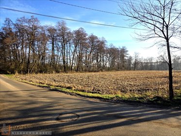 działka na sprzedaż 3900m2 działka Pękowice