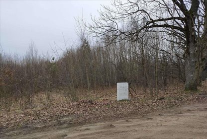 działka na sprzedaż 10522m2 działka Białowieża, ul. Browska