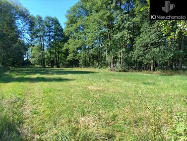 działka na sprzedaż 1000m2 działka Sadowne, Wiejska