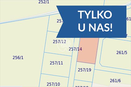 Działka 3530 m² z możliwością podziału i dostępem do prądu działka Czarnowo