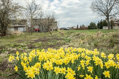 Uroczy dom z własnym ogrodem i budynkami gospodarczymi dom Jeżów, Leśna