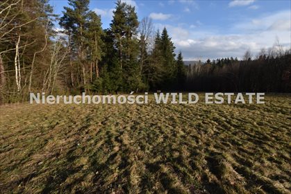 działka na sprzedaż 10900m2 działka Lesko, Weremień