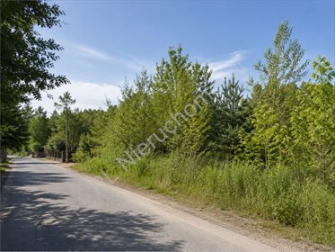 Działka 1500 m² w Piotrkowicach - blisko Grodziska Mazowieckiego działka Piotrkowice