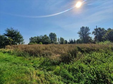 działka na sprzedaż 3189m2 działka Dzierżoniów