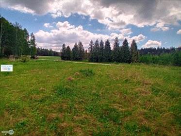 Do sprzedania działka 1,71ha z lasem i mediami w Gnojnie działka Gnojno, Gorzakiew