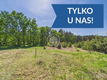 Działka 1585 m² pod dom w lesie – Kobylarnia, cisza i prywatność działka Kobylarnia