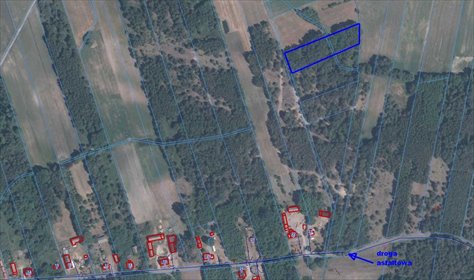 Działka rolna na sprzedaż Antonina 3 200m2 Foto 3
