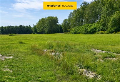 Sprzedam działkę 2000 m² z warunkami zabudowy w Grabce Wręckie działka Grabce Wręckie, Skierniewicka