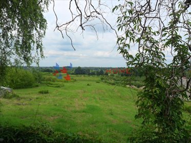 działka na sprzedaż 11200m2 działka Wólka Dworska