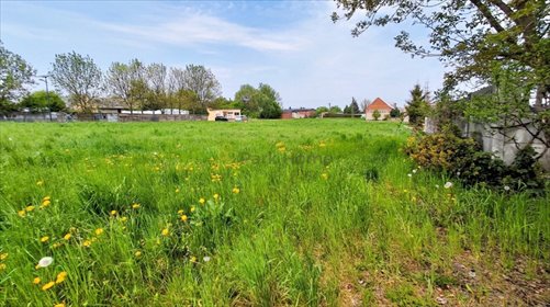 Przestronna działka 2454 m² w Grodzisku – blisko natury! działka Grodzisko