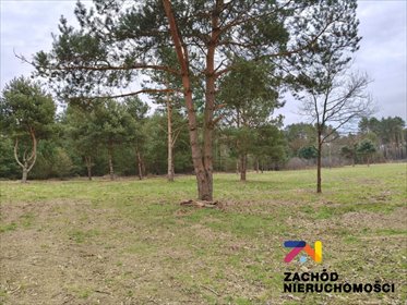 działka na sprzedaż 697m2 działka Radomia, Orzewo