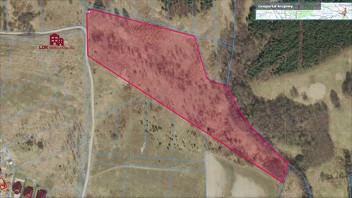 działka na sprzedaż 35300m2 działka Nowy Kisielin