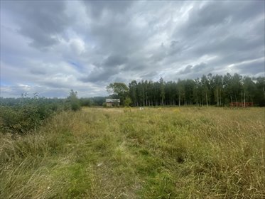 Działka 3040 m2 w Sade Budy z mediami i potencjałem działka Sade Budy